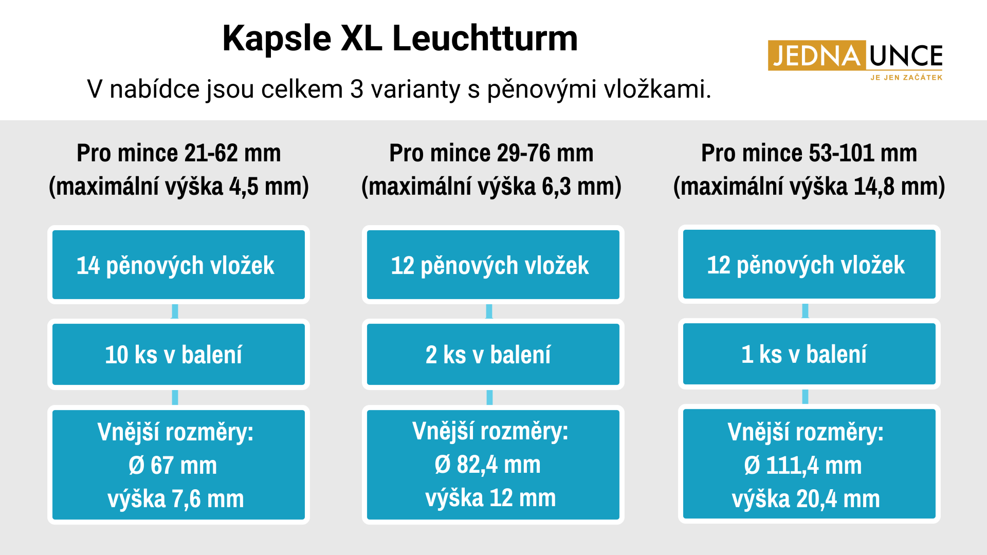 Copy - Copy - Data Governance Informational Infographic Template (kopie)